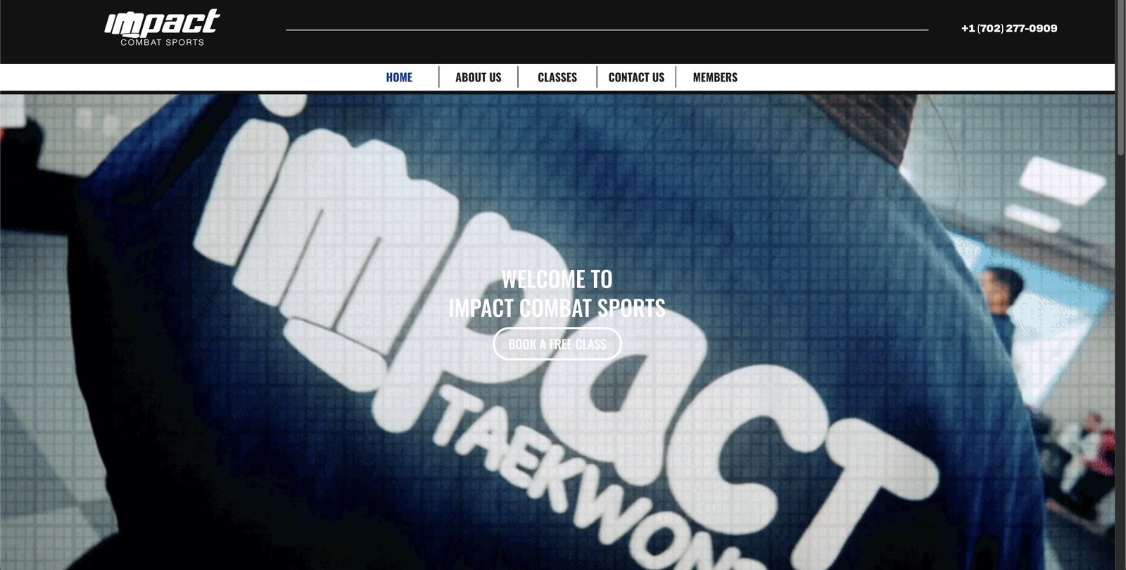 Impact Combat Sports website
